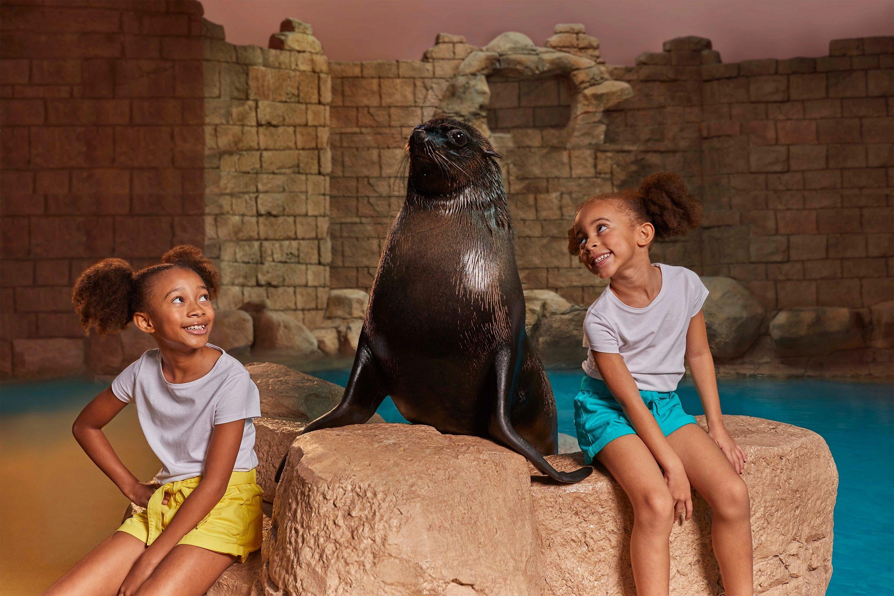 Sea Lion Experiences