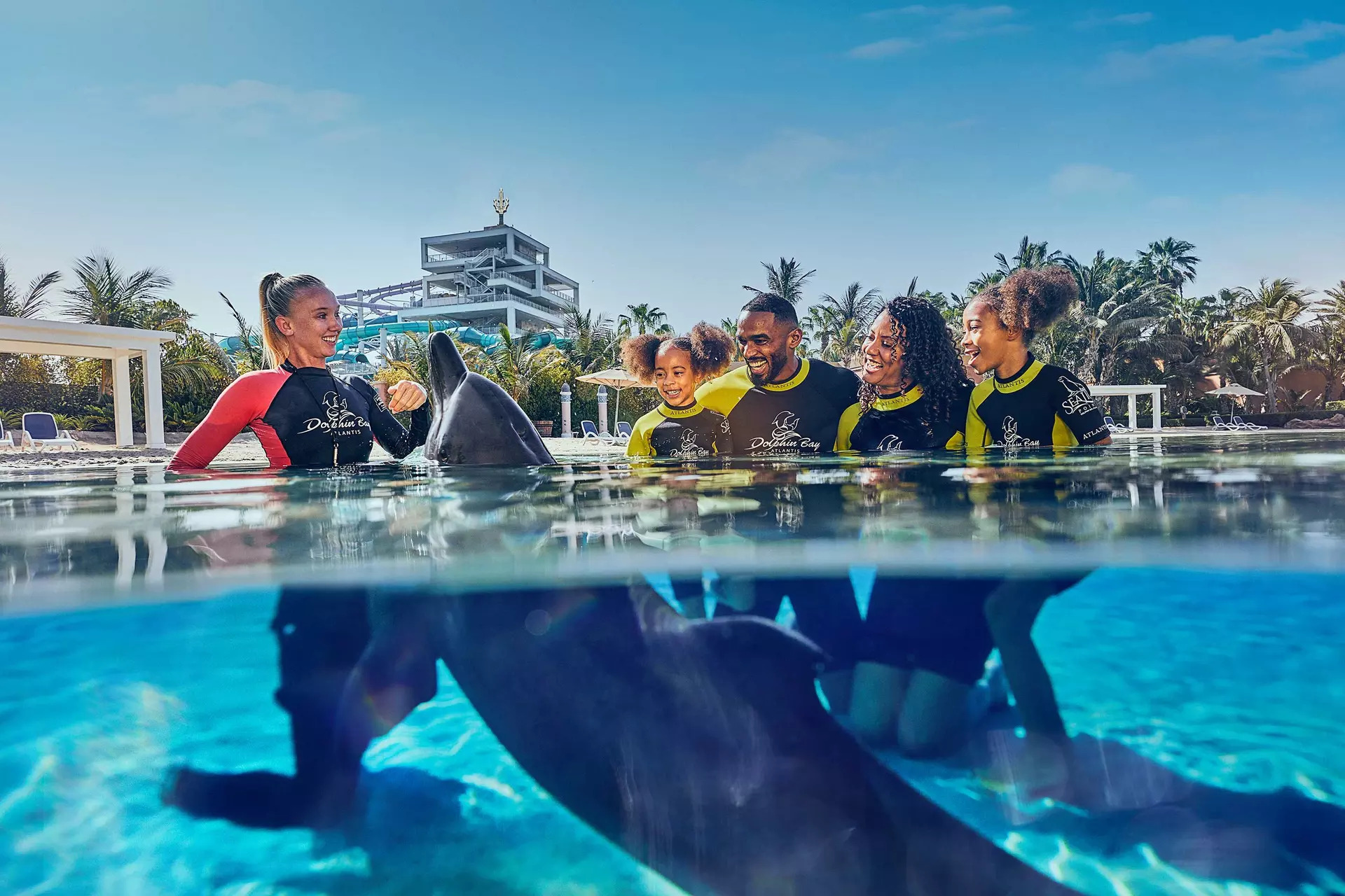 Marine conservation at Aquaventure World